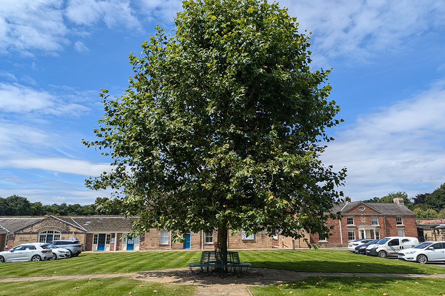 Nostell Estate Devign Studios Wakefield